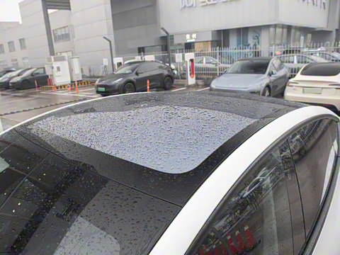 2025�� ������ȫ��������