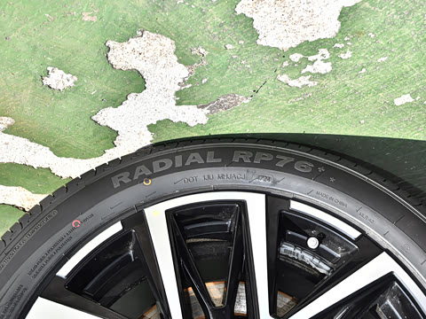 2024�� ���˰� 5��