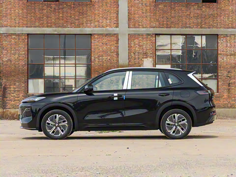 2025�� 55km ̽����