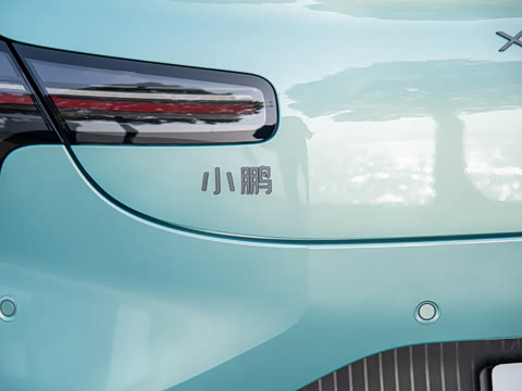 2025�� 502 ������ Max