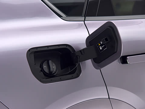 2025�� FREE+ ����Ǭ����