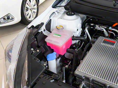 2019�� ���������;�װ��