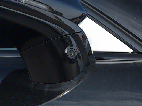 2024�� ������������