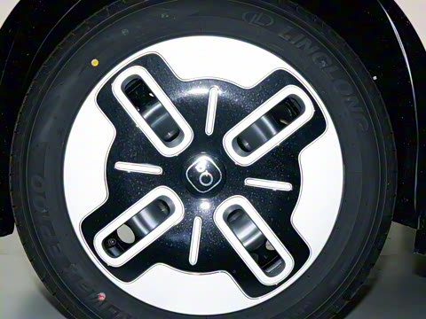 2025�� 305km ������