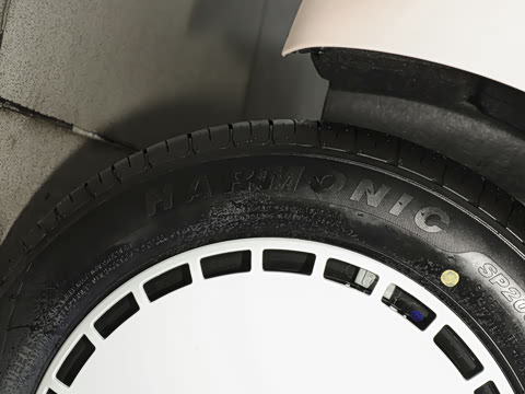 2024�� 205km ʥ��Pro