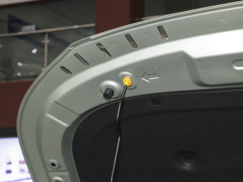 2025�� 565km ������