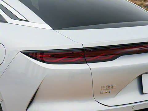 2025�� DM-i 200KM�����״�������