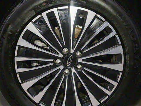 2025�� 1.5T 116km ������ 7��