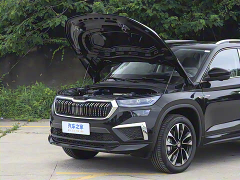 2025�� TSI380 7�������콢��