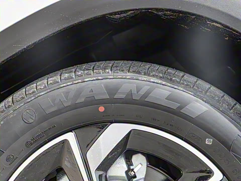 2025�� 205��������������