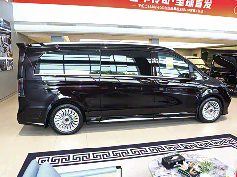 2025�� VS600MX ����������