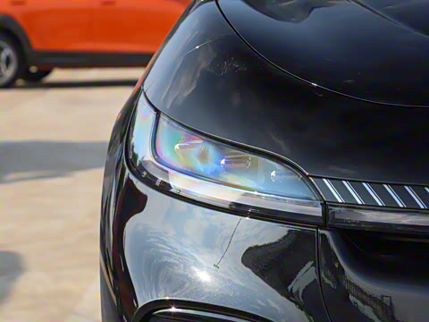 2024�� ������������