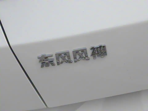 2025�� 1.5L �Զ�������