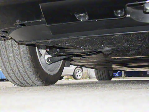 2025�� ����������Max