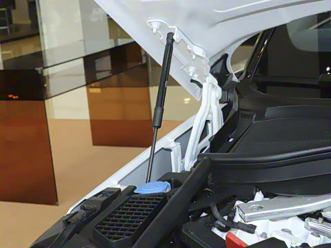 2024�� 4.4 V8 SV���ٴ����ӳ��� 4��