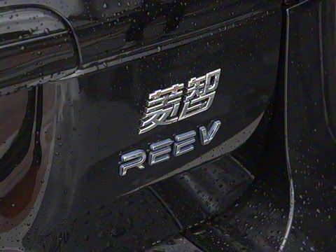 2025�� 110km���� ������5��