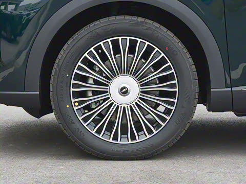 2024�� 210 ��������������� 7�� ���������