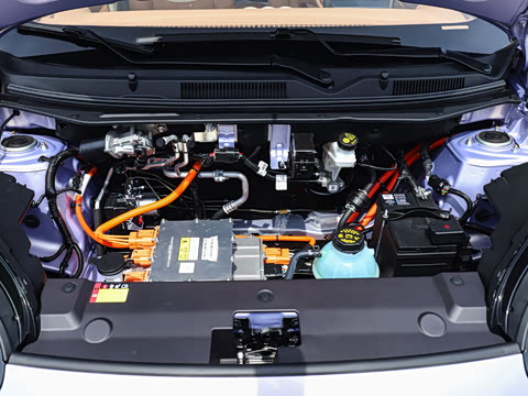 2025�� 333km ������