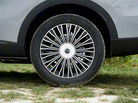 2025�� 120 ���������콢PLUS 7�� �������