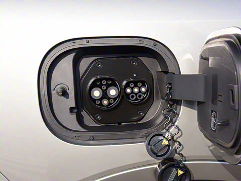 2023�� ������������