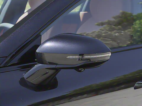 2025�� ���� 230ProѲ����