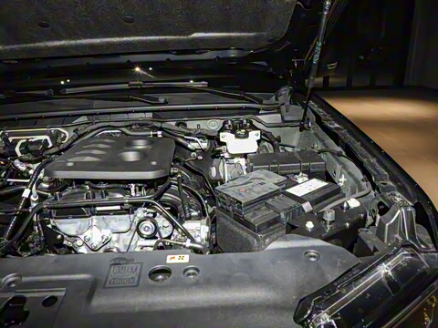 2025�� ̽�������Զ��� ����