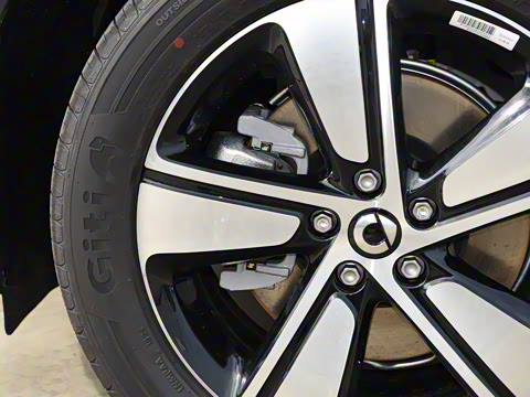 2026�� �鶯��������