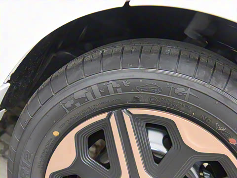 2020�� 305KM ���а�