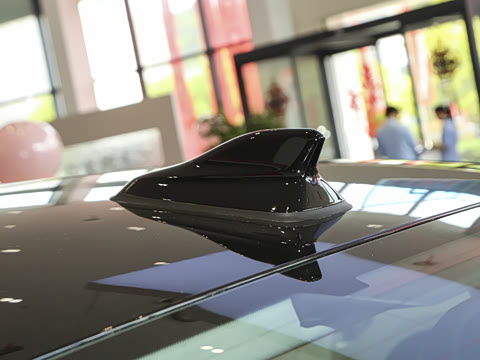 2025�� Pro 300TSI ��ҫ��