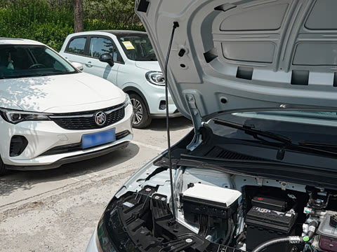 2025�� 550�����״��