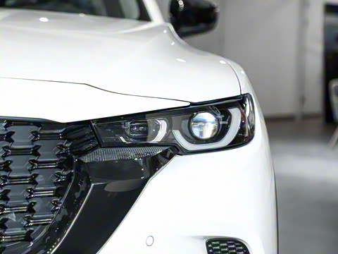 2023�� 2.5L ���а�