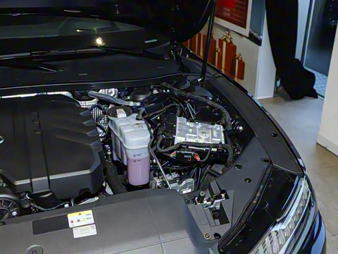 2025�� 45 TFSI ��ѡ��