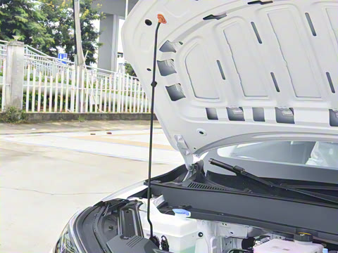 2024�� 530km �����