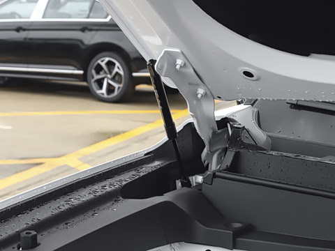 2025�� 226km ��Խ