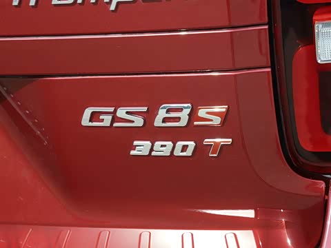 2020�� GS8S 390T ��������������