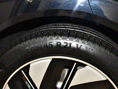 2025�� 636Max���Ȱ� 6��