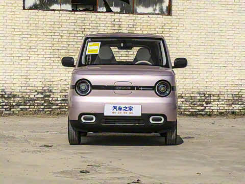 2025�� ��èmini 210km Ԫ����