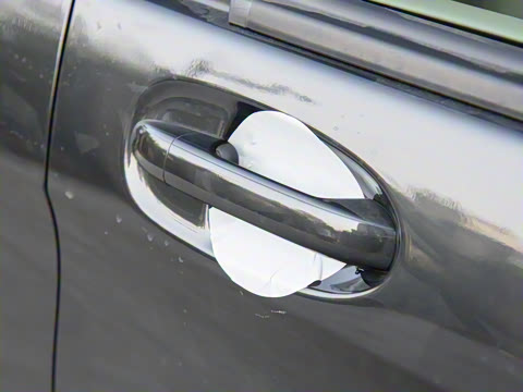 2024�� V 300 �캽��