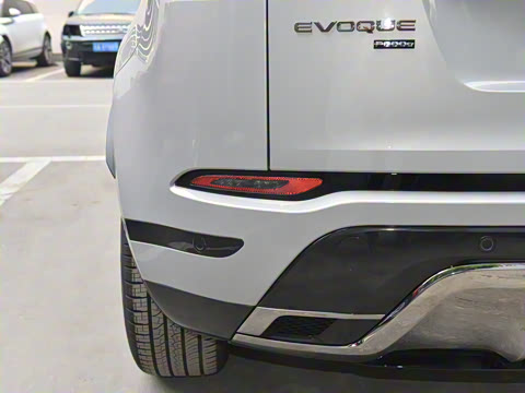 2021�� ����L P300e ������