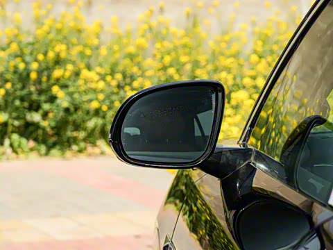 2025�� DM 200KM���������״��콢��