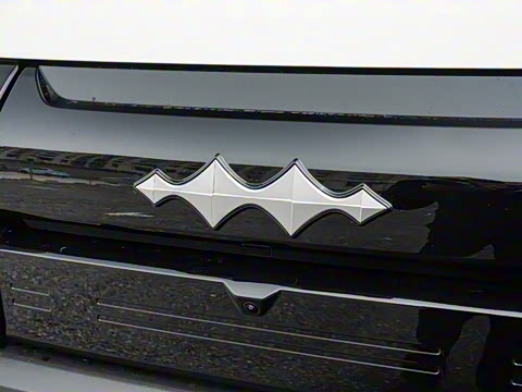 2025�� 501KM ����Max��