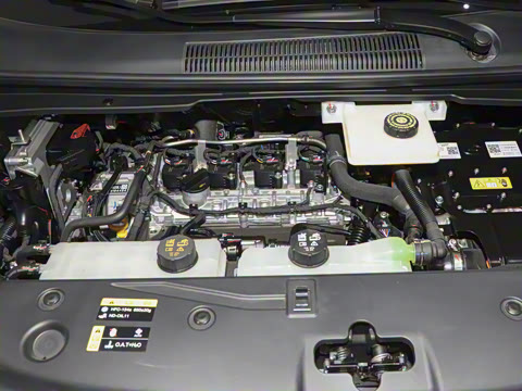 2024�� ��ҫϵ�� 2.0L ���ڰ�