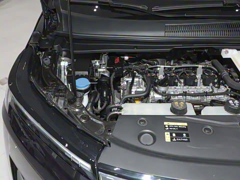 2024�� ��ҫϵ�� 2.0L ���ڰ�