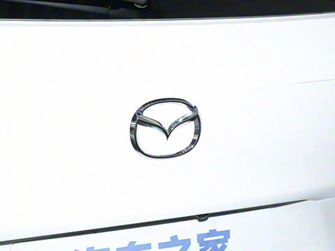 2023�� 2.5L ���а�