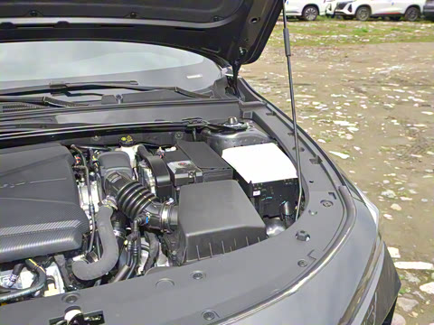 2023�� 1.5T ������