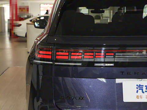 2025�� ;�� Pro 450TSI �����Ƿ��