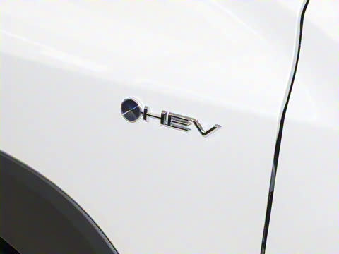 2024�� 2.0L ���ܵ��˫�� ������