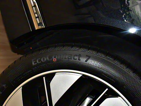 2025�� 636Max���Ȱ� 6��