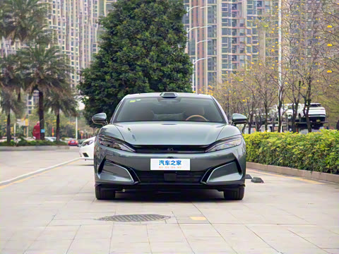 2025�� DM-p ���������״��콢��