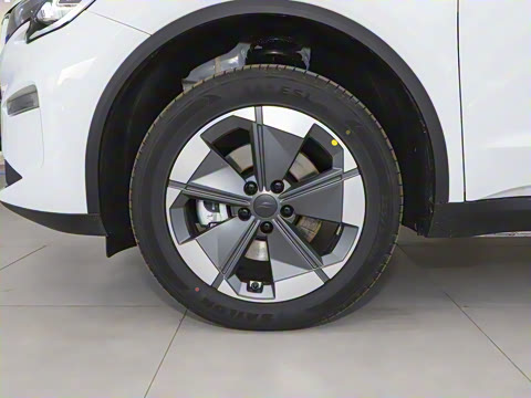 2025�� �������캽��